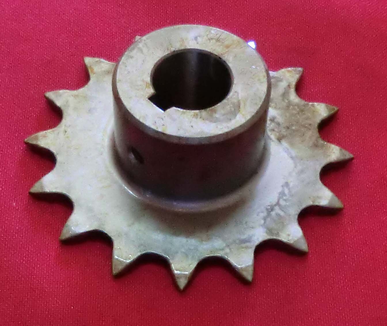 PIÑON 98521-741